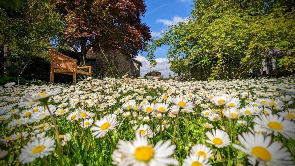 La Plaine De L'Angelus Bed & Breakfast Chailly-en-Biere ภายนอก รูปภาพ